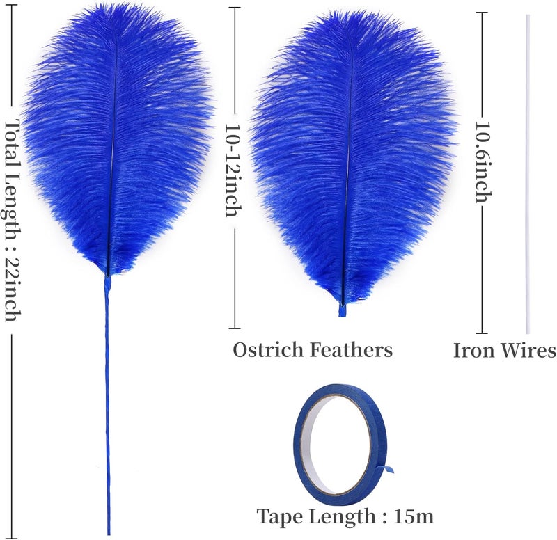 Holmgren Royal Blue Ostrich Feather - 20pcs Making Kit 22 Inch Large Ostrich Feathers for Vase, Floral Arrangement, Wedding Party Centerpieces Home Decorations (Royal Blue) - Image 3